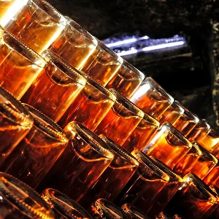 Residenz Im Schloss Neuweier 3*