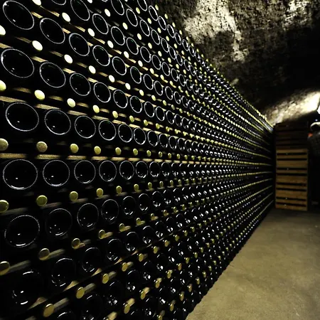 Residenz Im Schloss Neuweier Baden-Baden