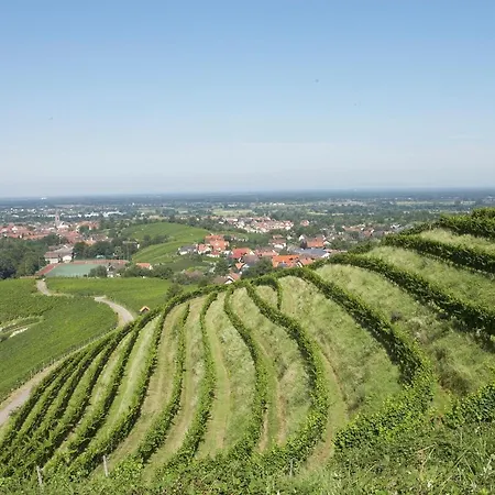 Residenz Im Schloss Neuweier Hotel