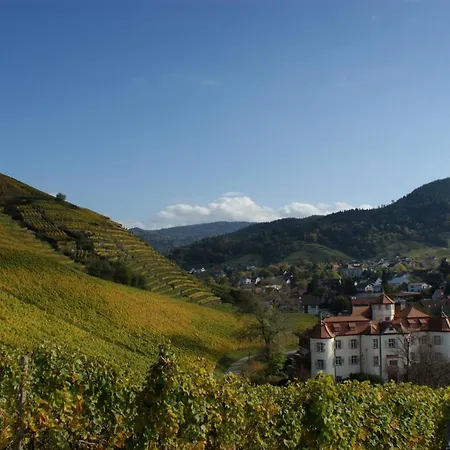 Hotel Residenz Im Schloss Neuweier