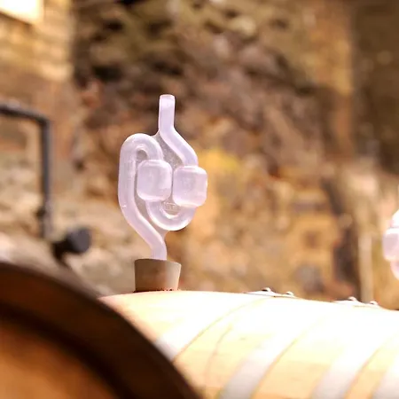 Residenz Im Schloss Neuweier Hotel Baden-Baden