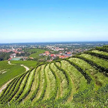 Hotel Residenz Im Schloss Neuweier 3*