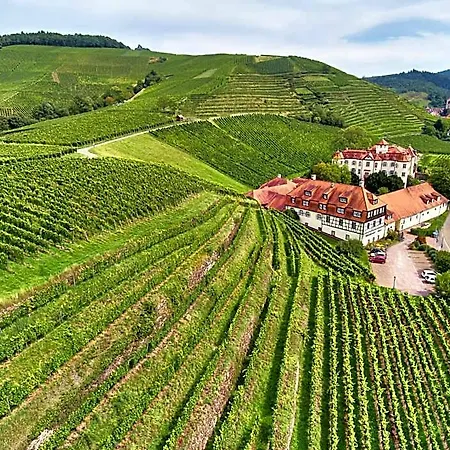 Hotel Residenz Im Schloss Neuweier 3*