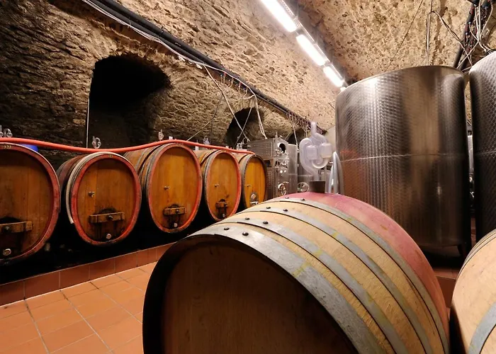 Residenz Im Schloss Neuweier Hotel 3*