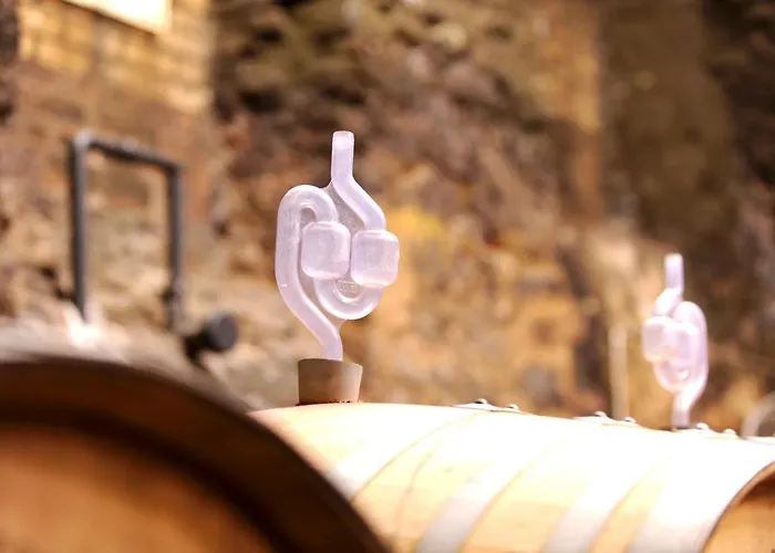 Residenz Im Schloss Neuweier Hotel Baden-Baden